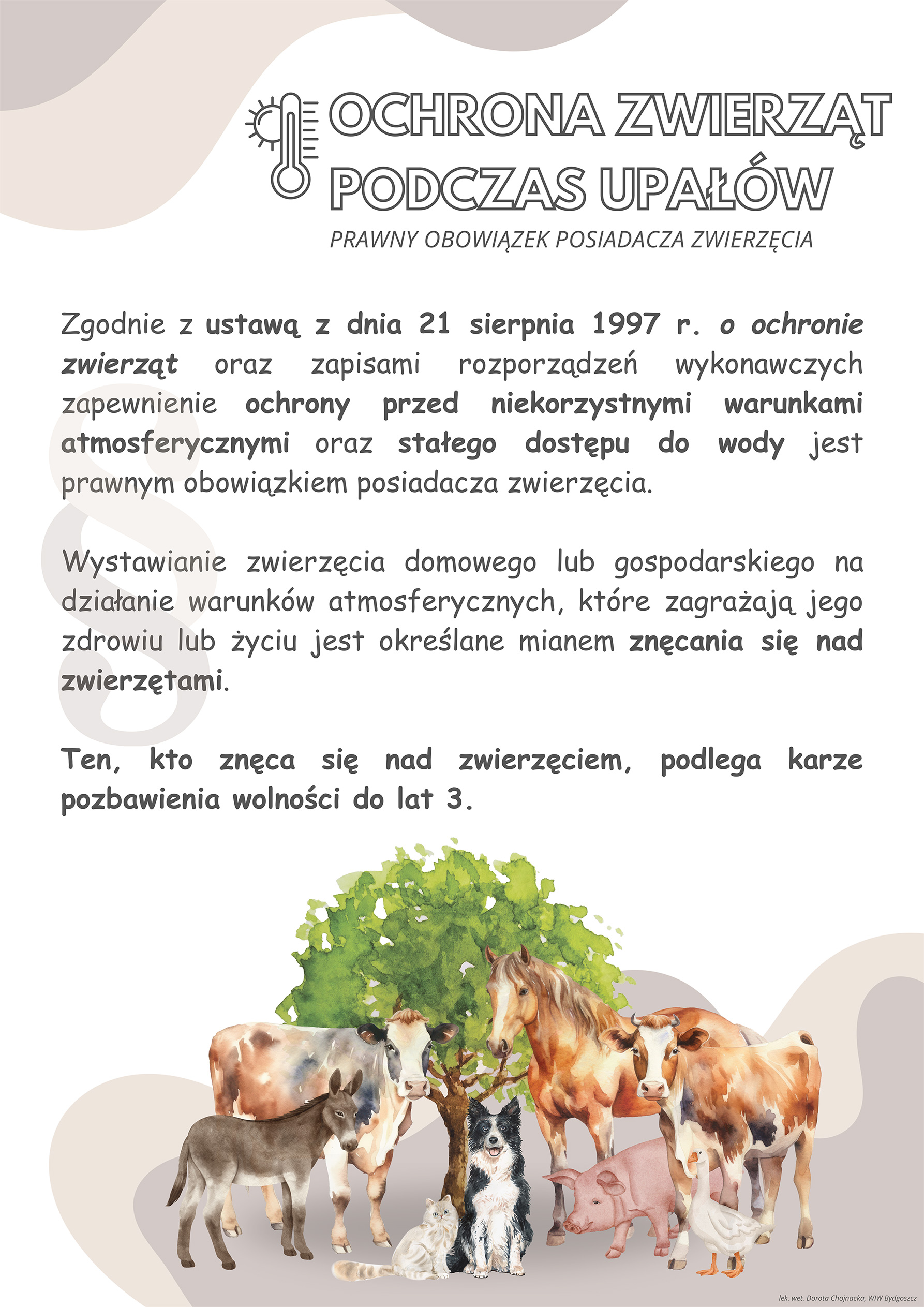 Plakat ochrona zwierząt podczas upałów